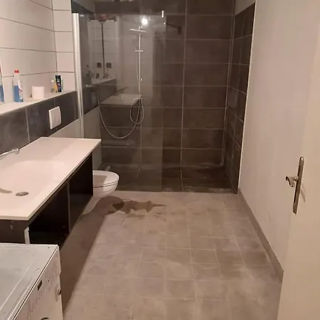 Old Central 2-room Souterrain Flat Iii برنو