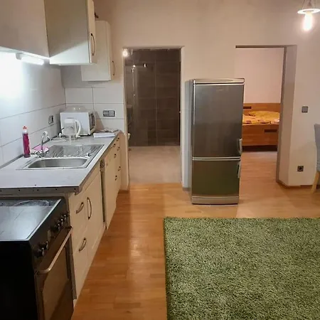 Old Central 2-room Souterrain Flat Iii Brno